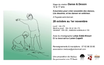 STAGES ET DESSINS – Association Méduse